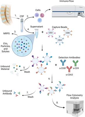 Viral Immune signatures from cerebrospinal fluid extracellular vesicles and particles in HAM and other chronic neurological diseases